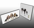 Pet Canvas prints