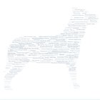 Pet, dog, Year Pet, dog, Word Cloud